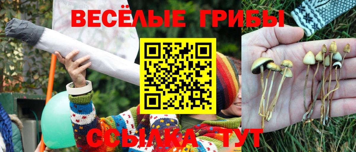 Галлюциногенные грибы Magic Shrooms Назрань