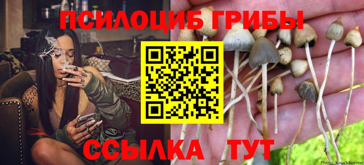 Назрань  Галлюциногенные грибы Psilocybine cubensis  Галлюциногенные грибы MAGIC MUSHROOMS  Вход с VPN 